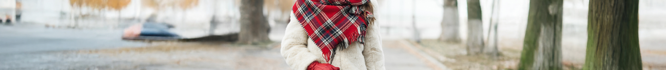 Términos y condiciones